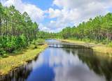  Creek Pines Circle - Photo 3