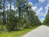  Kamsler Ave - Photo 2