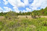 10709 Leafwing Drive - Photo 17