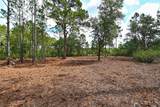 10709 Leafwing Drive - Photo 22