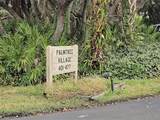 409 Palm Tree Drive - Photo 4