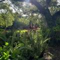 108 Pinehurst Drive - Photo 15