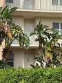 2320 Terra Ceia Bay Boulevard - Photo 46