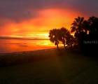 3301 Bay Shore Road - Photo 45