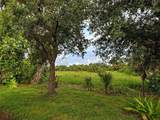 8930 Tuscany Isles Drive - Photo 30