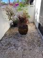 3500 El Conquistador Parkway - Photo 3
