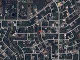 Lot 20 Sago Palm Road - Photo 4