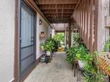5026 Water Oak Drive - Photo 6