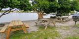 309 Shore T Road - Photo 36
