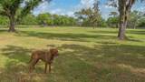 5450 Old Ranch Road - Photo 73