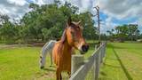 5450 Old Ranch Road - Photo 75
