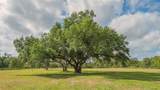 5450 Old Ranch Road - Photo 79
