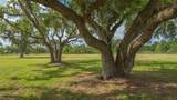 5450 Old Ranch Road - Photo 80