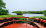 9612 Valencia Cove - Photo 46