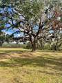 12355 Doris Road - Photo 10