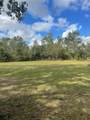 12355 Doris Road - Photo 13