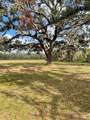 12355 Doris Road - Photo 9