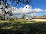  Leon Drive - Photo 4