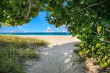 176 Avens Drive - Photo 61