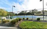 6334 Grand Oak Circle - Photo 41
