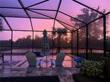 6161 Anise Drive - Photo 45