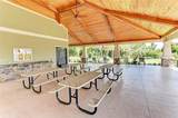 6161 Anise Drive - Photo 60
