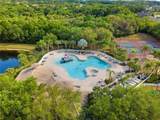 12736 Penguin Drive - Photo 33