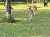 2230 Myakka Road - Photo 78