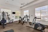 1311 Triano Circle - Photo 53
