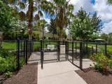 5978 Anise Drive - Photo 68