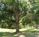 2475 Wood Oak Drive - Photo 11