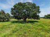 12950 River Road - Photo 19