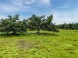 12950 River Road - Photo 22