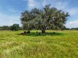 12950 River Road - Photo 26