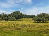 12950 River Road - Photo 28