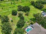 1229 Palm View Road - Photo 64