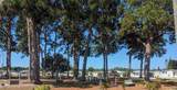 1702 Olympia Fields Street - Photo 11