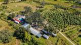 21552 State Road 64 - Photo 30