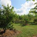 21552 State Road 64 - Photo 40