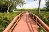 9527 Azure Cove - Photo 49