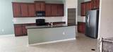 15543 Trinity Fall Way - Photo 5