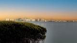 2450 Harbourside Drive - Photo 31