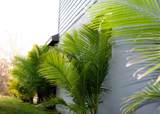 8323 Reefbay Cove - Photo 15