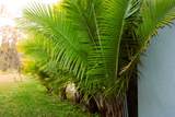 8323 Reefbay Cove - Photo 16