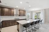 17502 Savory Mist Circle - Photo 8