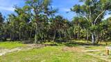 5361 Myakka Valley Trail - Photo 60