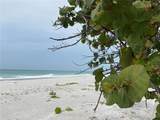 6111 Bluestar Court - Photo 85