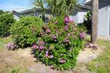 2824 Shannon Drive - Photo 71