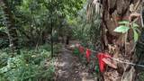 235 147TH Street - Photo 63