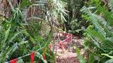 235 147TH Street - Photo 64